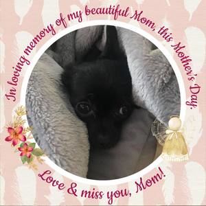 Meet your Posher, Deborah